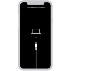 iPhone X or later Restore Screen While Connecting to iTunes - Unlock iCloud Activation